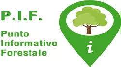 Calendario orari P.I.F. - II° Semestre 2025